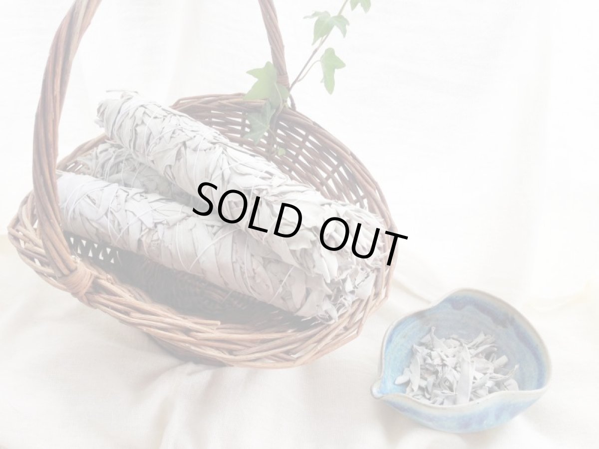 画像2: 無農薬ホワイトセージ・ワンド(1本) (2)