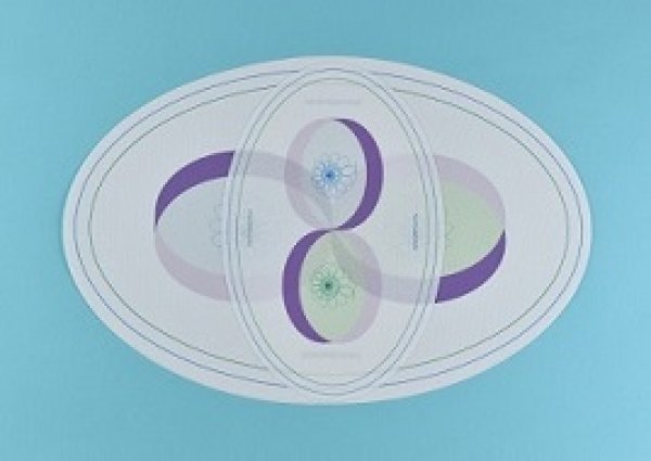 2025年最新】SIEPONの人気アイテム - メルカリ