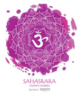 Pegasus Products ペガサス・プロダクツ | ナチュラルスピリット