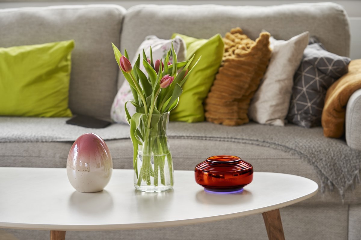 画像6: ソマヴェディック「アンバー セカンドジェネレーション」 (6)