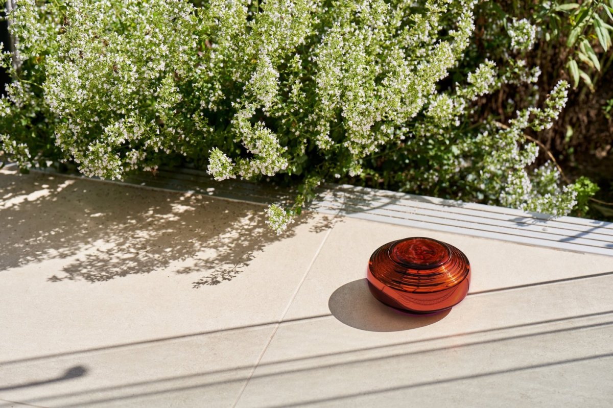 画像3: ソマヴェディック「アンバー セカンドジェネレーション」 (3)