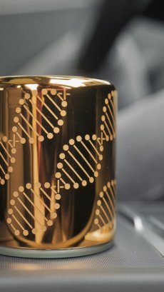 画像5: ソマヴェディック「エルオーラ・ゴールド」 (5)