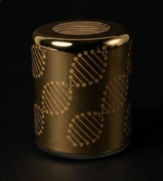 画像6: ソマヴェディック「エルオーラ・ゴールド」 (6)