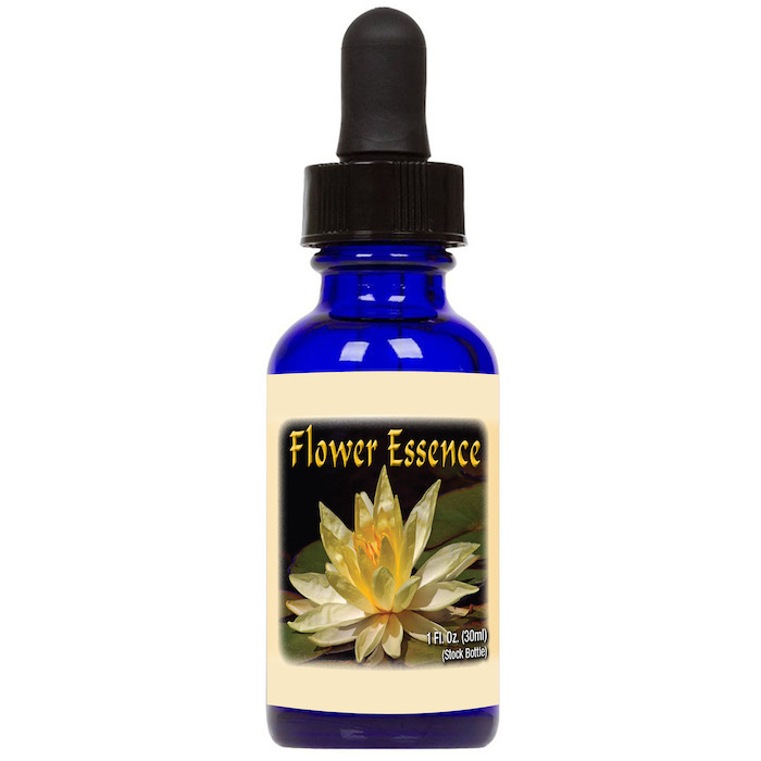 Flower Essences フラワー・エッセンス　マリポサ・リリー