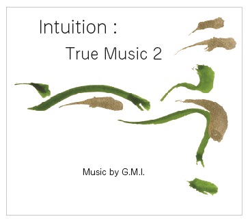 画像1: 音楽CD 『intuition True Music 2』G.M.I. (1)