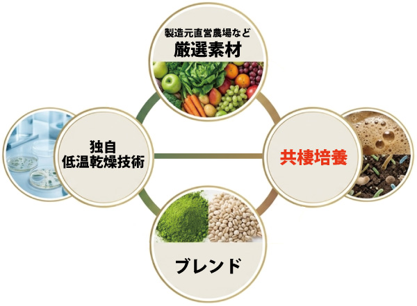 共棲培養と独自の低温乾燥技術